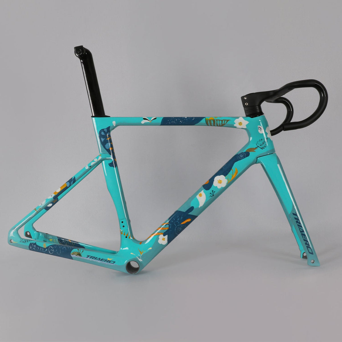 A9 Geschilderd Frame